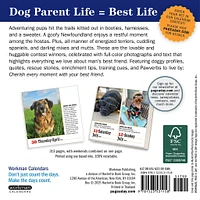 Dogs 365 2026 Box Calendar