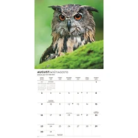 Owls 2026 Wall Calendar