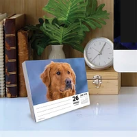 Just Goldens 2026 Box Calendar