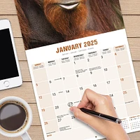 Apes Wall 2025 Calendar - Online Exclusive