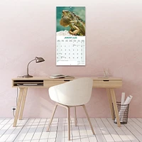 Lizards 2026 Wall Calendar