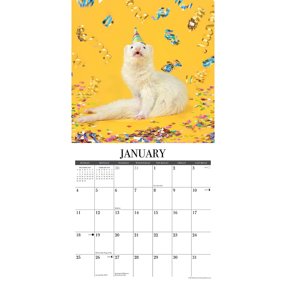 Modern Ferret 2026 Wall Calendar