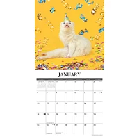 Modern Ferret 2026 Wall Calendar