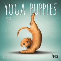 Yoga Puppies Mini 2025 Calendar