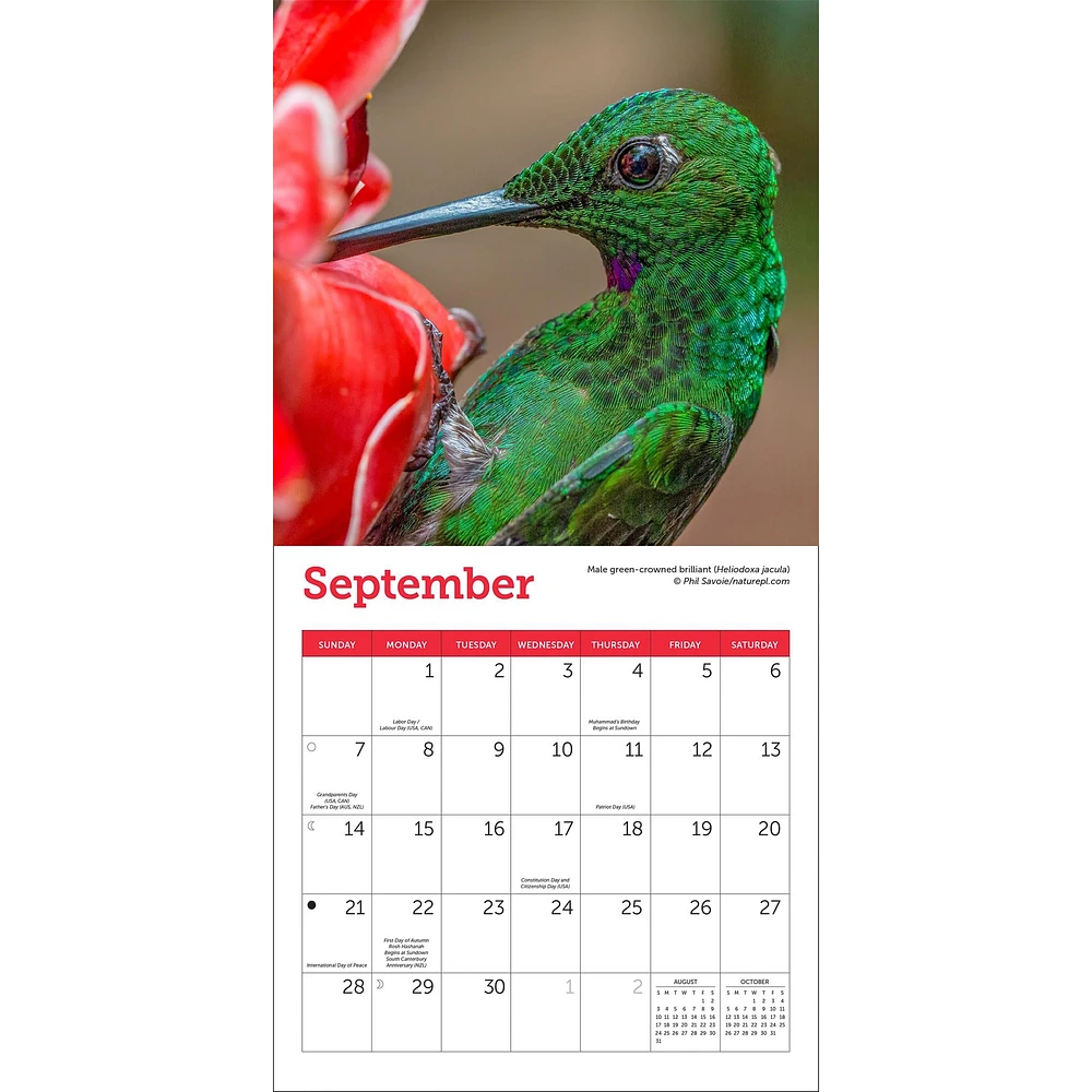 Hummingbirds Mini 2025 Calendar