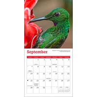 Hummingbirds Mini 2025 Calendar