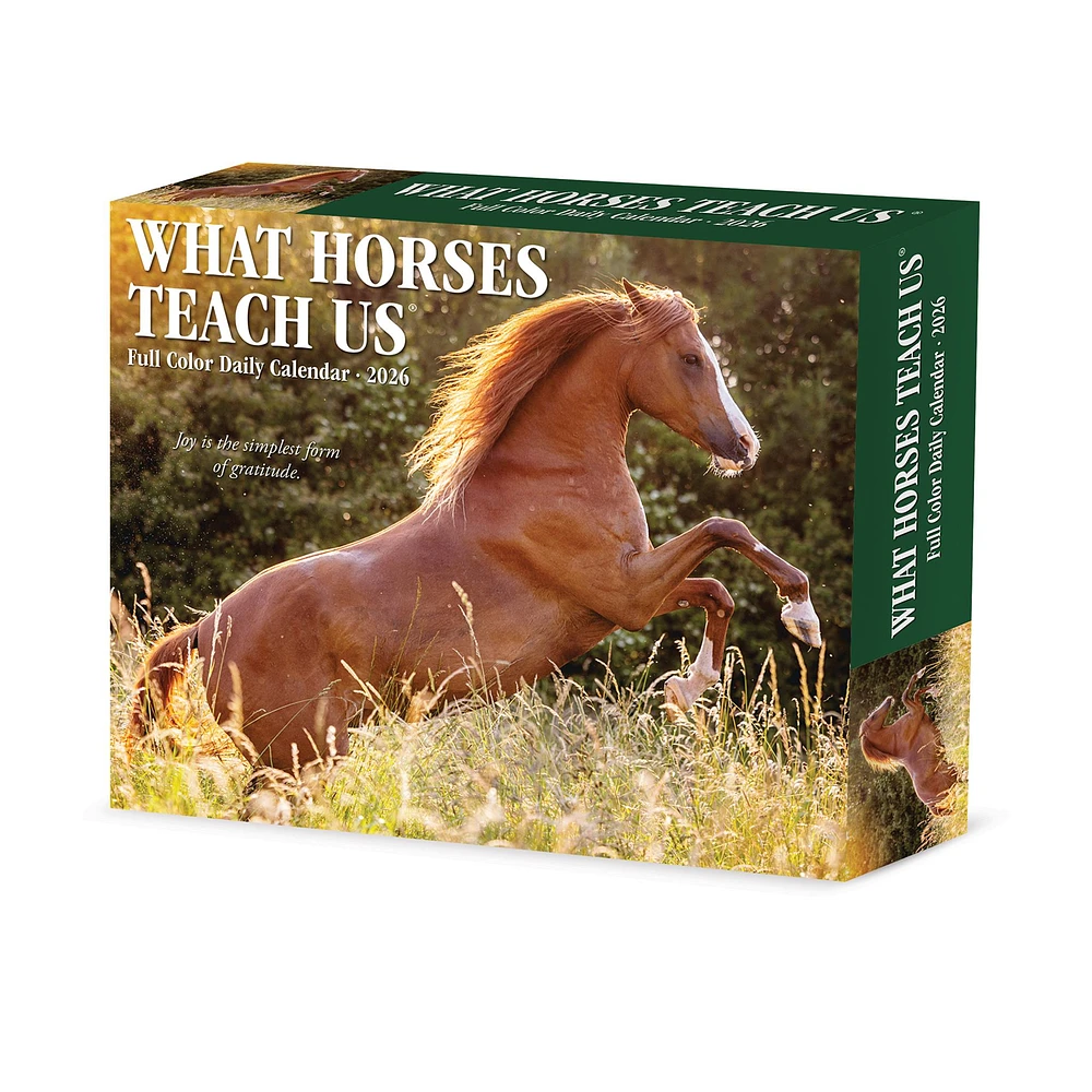What Horses Teach Us 2026 Box Calendar