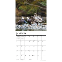 Eagles Wall 2025 Calendar - Online Exclusive