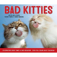 Bad Kitties 2026 Box Calendar - Online Exclusive