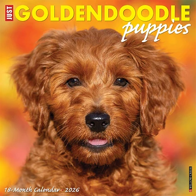Just Goldendoodle Puppies 2026 Wall Calendar
