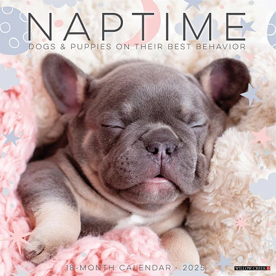 Naptime Dogs And Puppies Wall 2025 Calendar