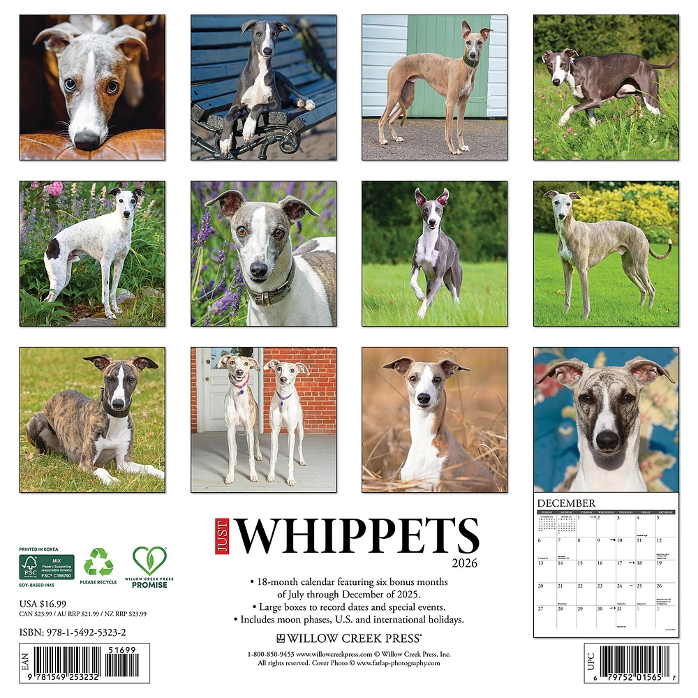 Just Whippets 2026 Wall Calendar