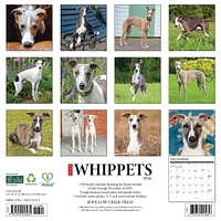 Just Whippets 2026 Wall Calendar