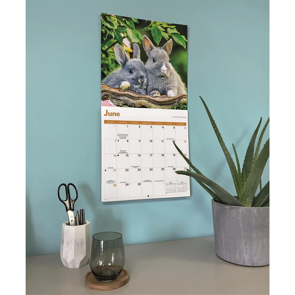 Rabbits 2026 Wall Calendar
