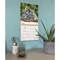 Rabbits 2026 Wall Calendar