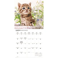 Cute Kittens 2026 Wall Calendar