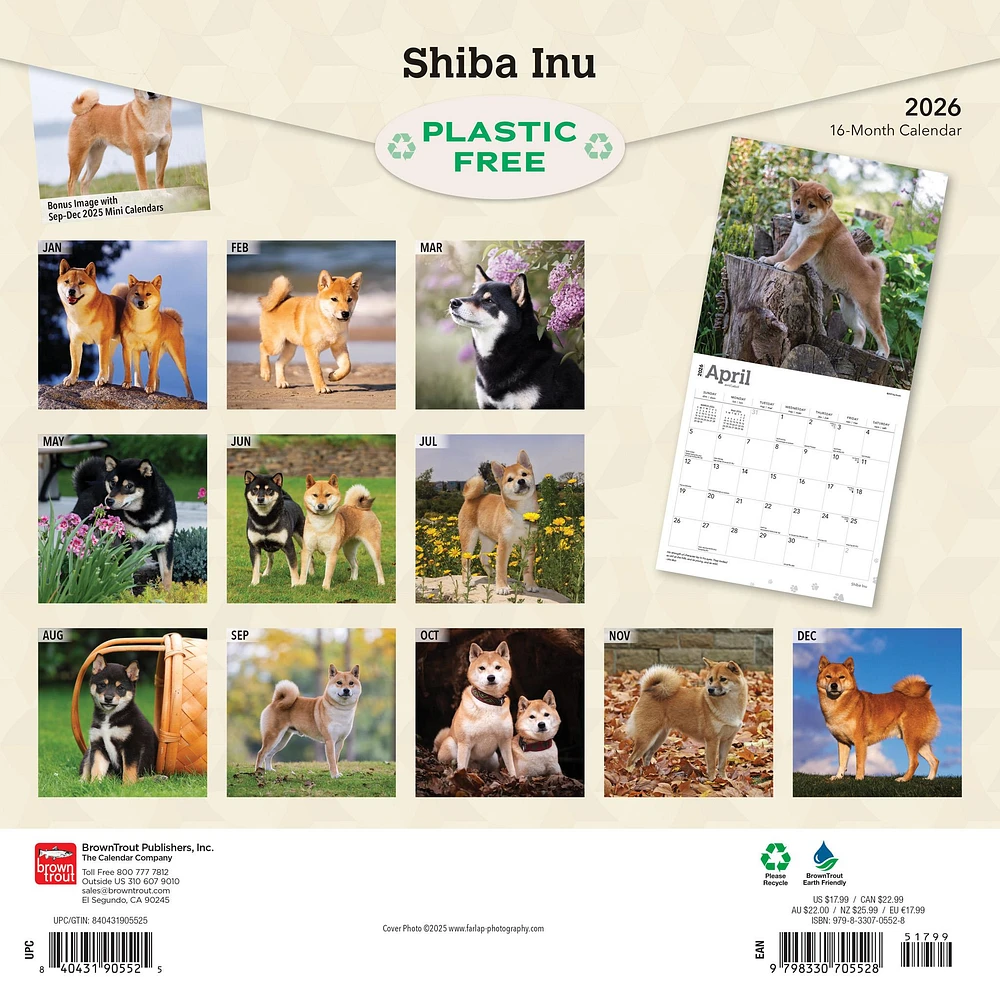Shiba Inu 2026 Wall Calendar - Online Exclusive