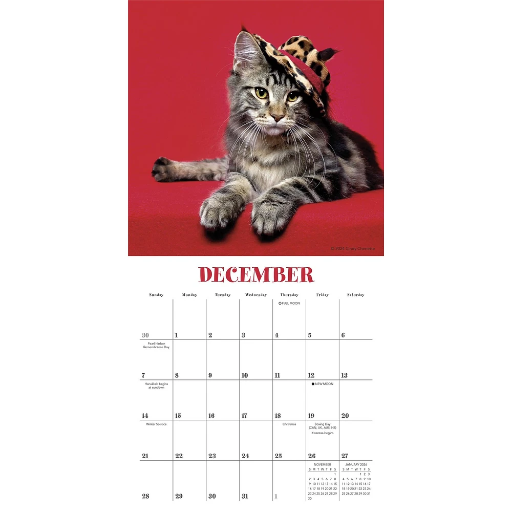 Cats In Hats Mini 2025 Calendar