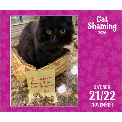 Cat Shaming 2026 Box Calendar