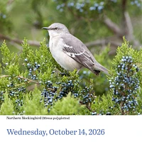 Audubon Birds 2026 Box Calendar
