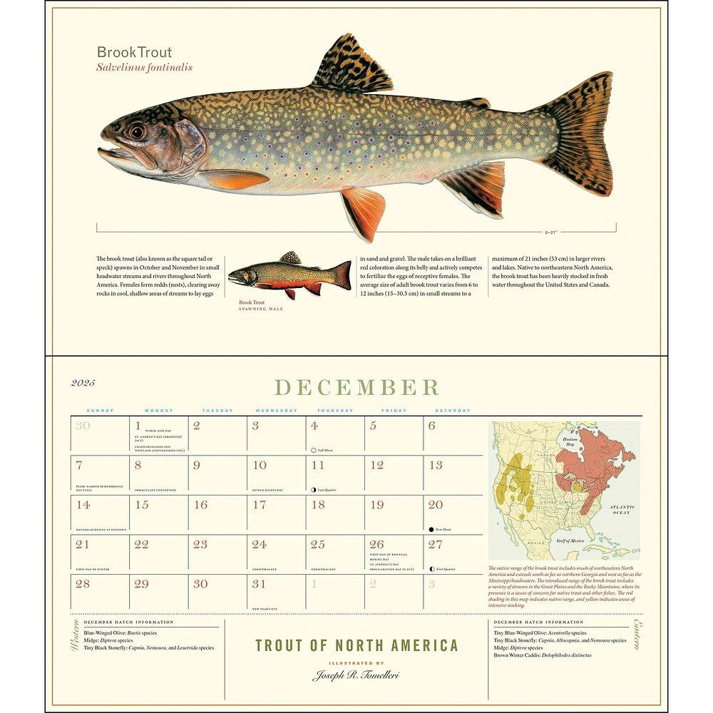 Trout Of North America Wall 2025 Calendar