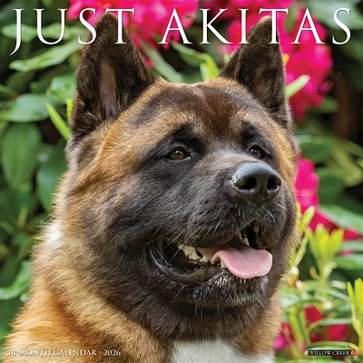Just Akitas 2026 Wall Calendar - Online Exclusive