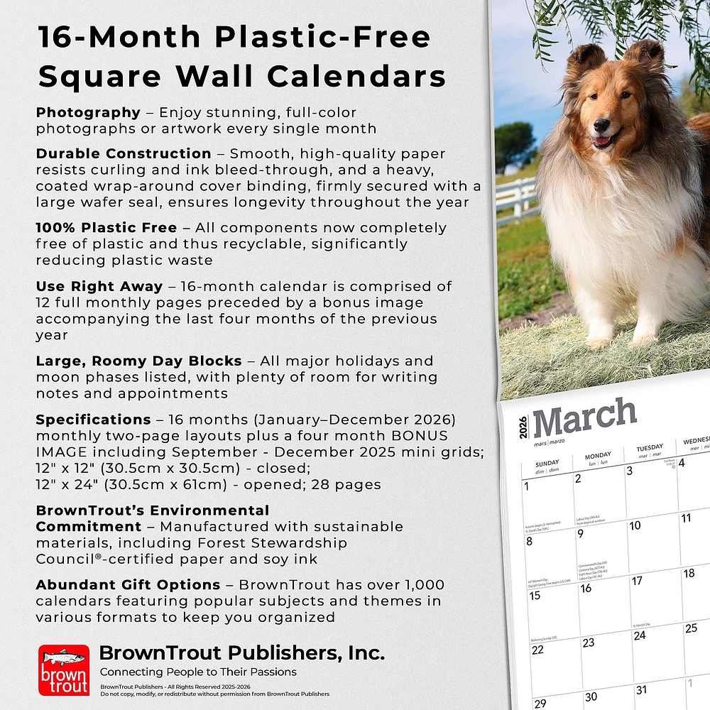 Shetland Sheepdogs 2026 Wall Calendar - Online Exclusive
