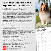 Shetland Sheepdogs 2026 Wall Calendar - Online Exclusive