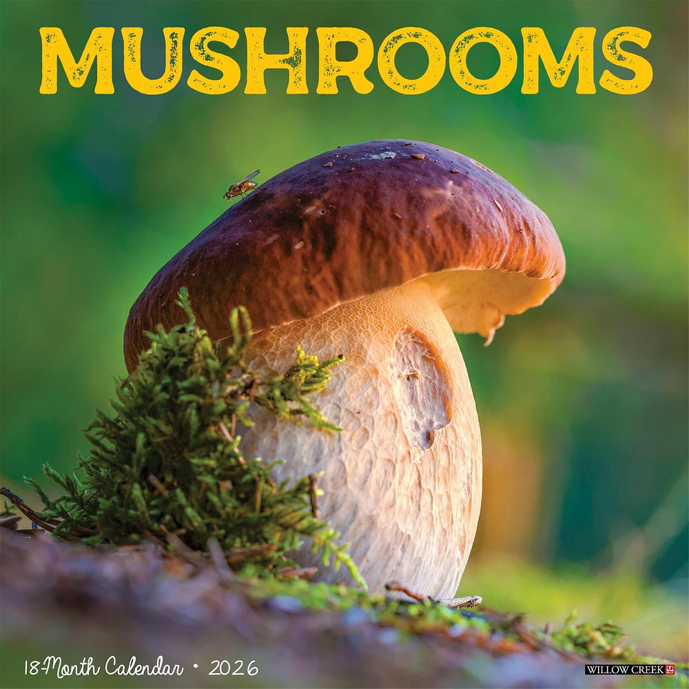 Mushroom The Art Of The 2026 Wall Calendar - Online Exclusive