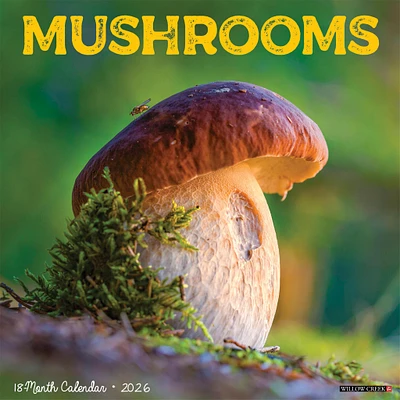 Mushroom The Art Of The 2026 Wall Calendar - Online Exclusive