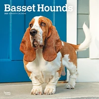 Basset Hounds Wall 2025 Calendar