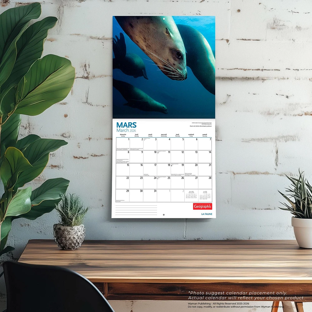 Canadian Geographic La Faune 2026 Wall Calendar (French)