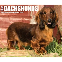 Just Dachshunds 2026 Box Calendar