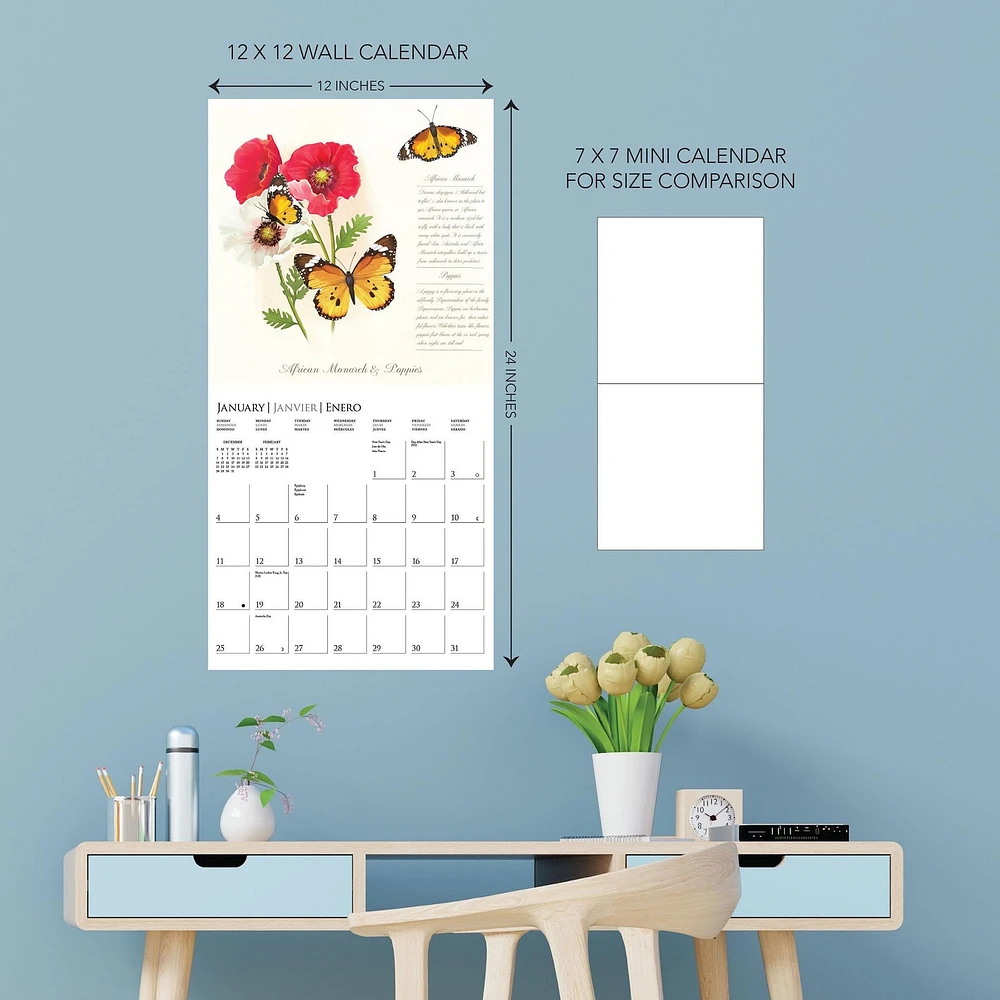 Butterflies 2026 Wall Calendar - Online Exclusive