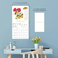 Butterflies 2026 Wall Calendar - Online Exclusive