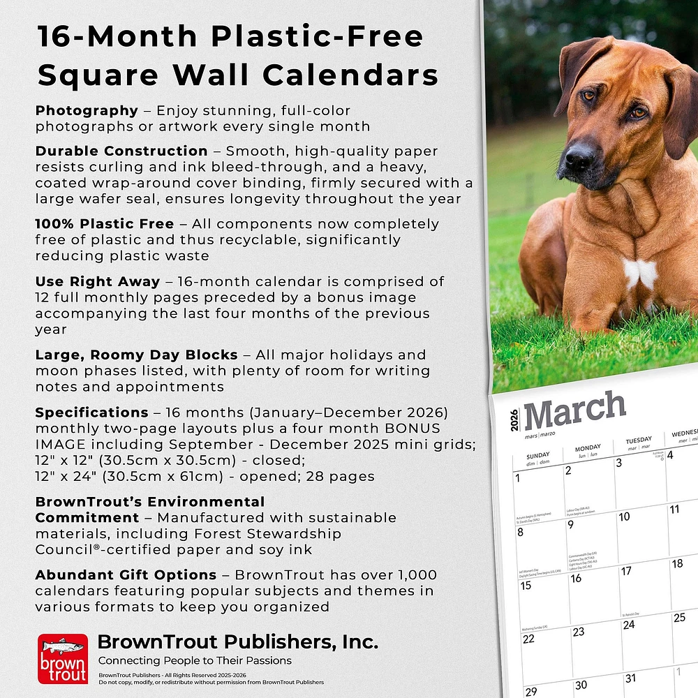 Rhodesian Ridgebacks 2026 Wall Calendar