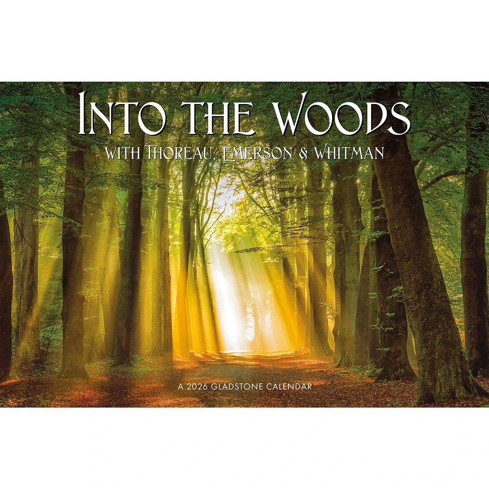 Into The Woods Oversized 2026 Wall Calendar