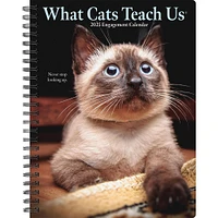 What Cats Teach Us Engagement 2025 Calendar