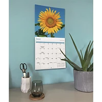 Sunflowers 2026 Wall Calendar