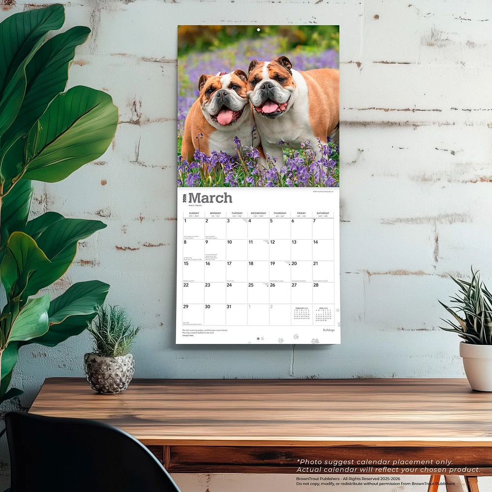 Bulldogs English 2026 Wall Calendar
