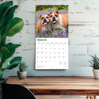 Bulldogs English 2026 Wall Calendar