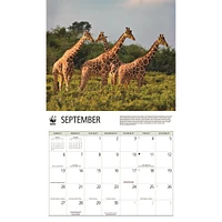 World Wildlife Fund Giraffes 2026 Wall Calendar