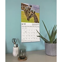 World Wildlife Fund Giraffes 2026 Wall Calendar