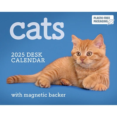 Cats Small Box 2025 Calendar