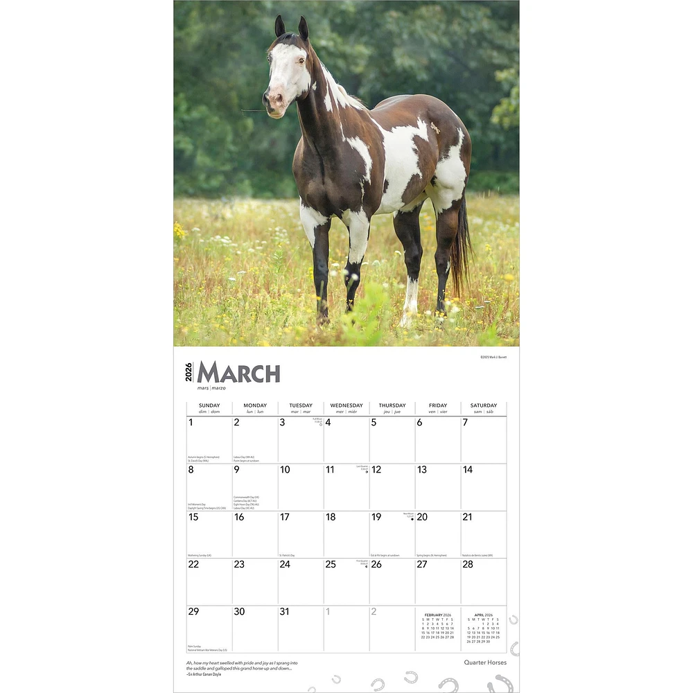 Quarter Horses 2026 Wall Calendar - Online Exclusive