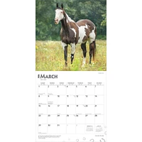 Quarter Horses 2026 Wall Calendar - Online Exclusive