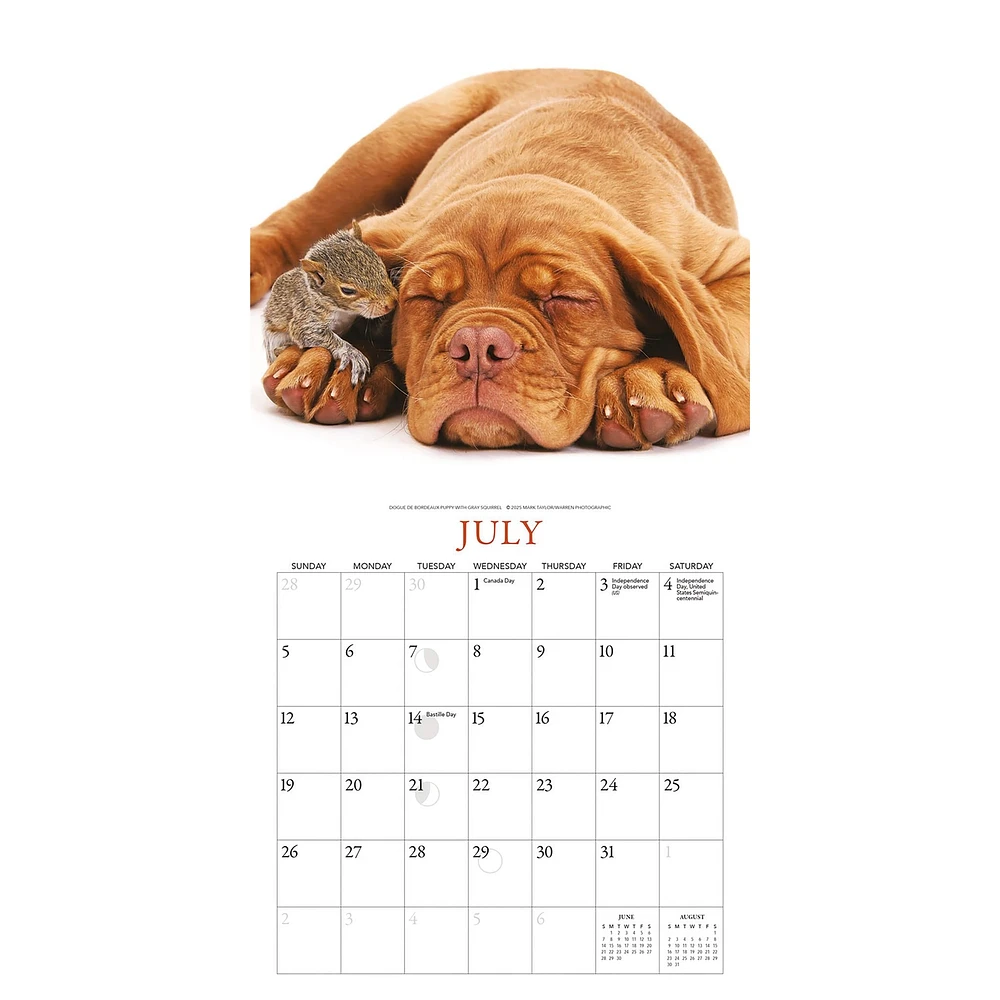 Puppies And Friends Mini  2026 Calendar