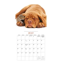 Puppies And Friends Mini  2026 Calendar
