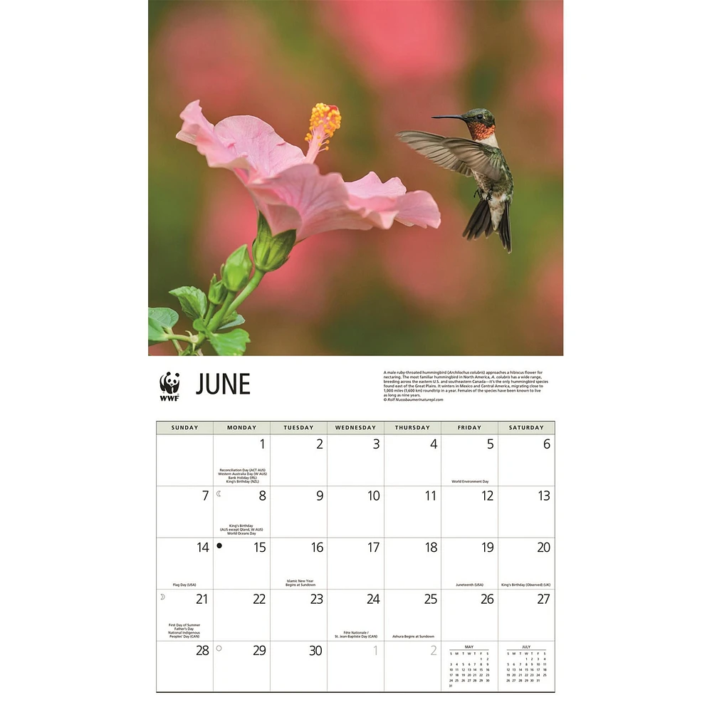 World Wildlife Fund Hummingbirds 2026 Wall Calendar