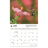 World Wildlife Fund Hummingbirds 2026 Wall Calendar